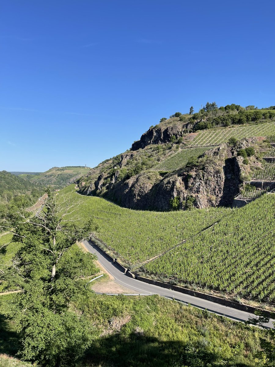 Haris Papapostolou tweet media