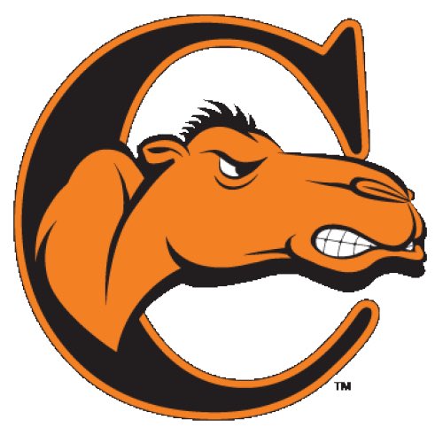 antwanraymond8's tweet photo. WOW. I AM VERY BLESSED TO SAY I HAVE RECEIVED MY VERY FIRST D1 OFFER FROM CAMBPELL UNIVERSITY @CoachGerry10 @skwilliamsjr https://t.co/xBrgoNyLuZ