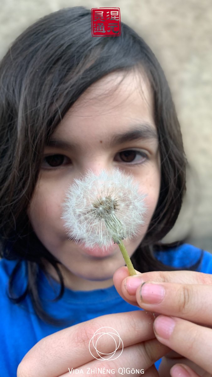 vidaZNQG's tweet photo. El silencio es esencial. El silencio es tan necesario como el aire que respiras, como la luz para las plantas.
Si tu mente está repleta de palabras y pensamientos, no te quedará un espacio para ti.
Tich Nhat Hanh https://t.co/ZqT1FxcHpc