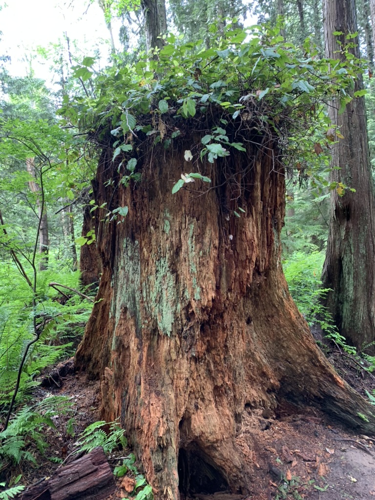 Marc Brooks tweet media