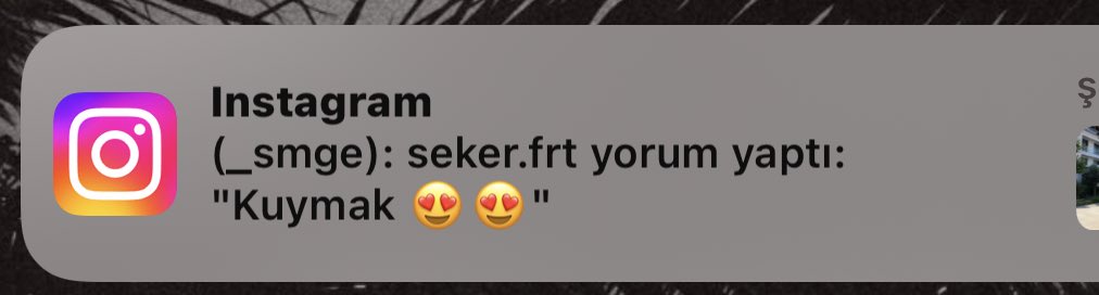 _ssmge's tweet photo. Fırata son fotoğrafıma güzel bir şeyler yaz dedim yazdığına bakın erkek kardeşler kapatılsın lütfen https://t.co/snTGY3Yrz0