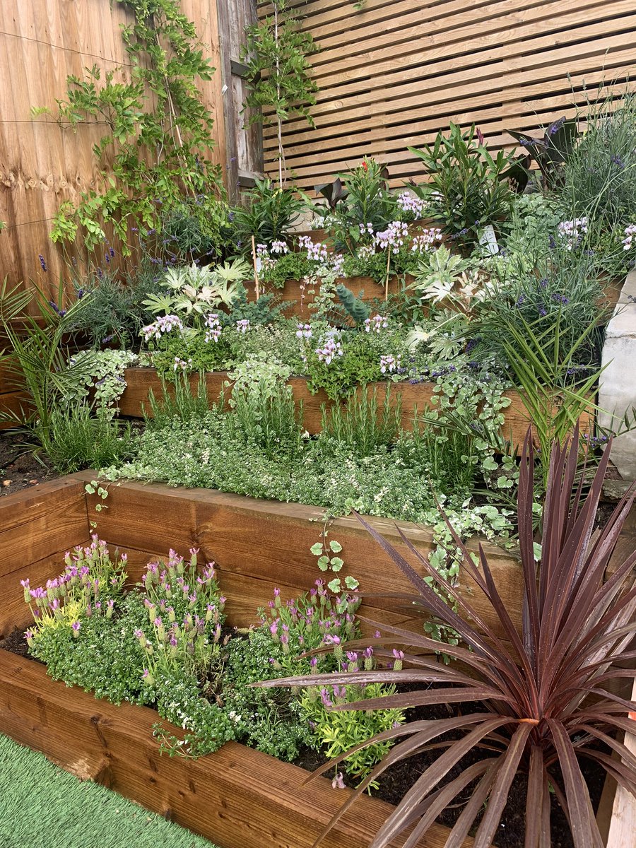 NicolaPinningt2's tweet photo. Not quiet to the standard of @DrAmirKhanGP AMAZING garden but it’s a start! #gardendesign #therapy #lovingtheheatwave #gardening #spfneeded https://t.co/A7F959AB2U