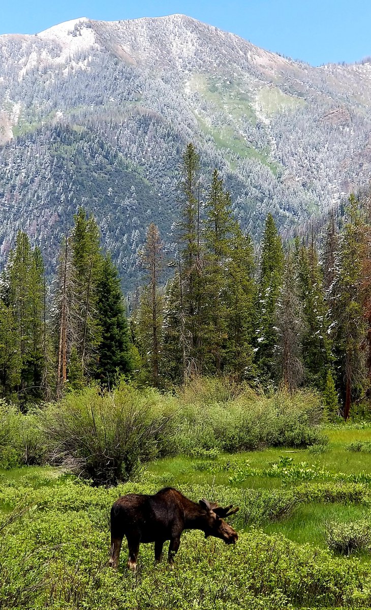 Jordan Mitchell tweet media