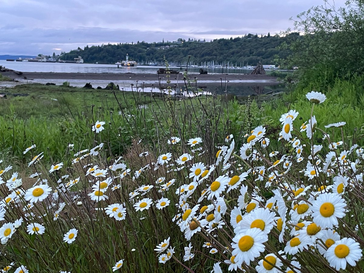 robin evans-agnew tweet media