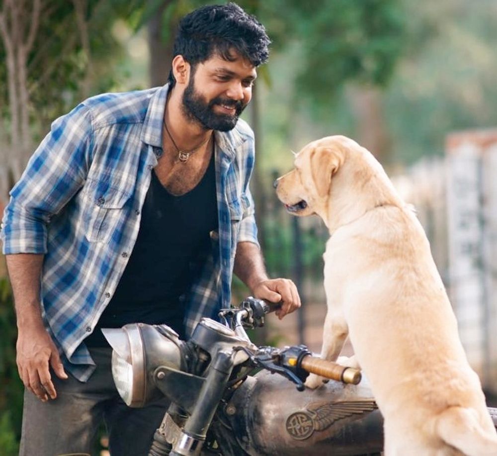 Haripad is a small center (pop of ~30k) in Kerala with two cinema locations. But #777Charlie is confirmed to enter second week run in both of these cinemas. This is an indication of film being received well even outside Karnataka. Decent box-office numbers even in the weekdays!!