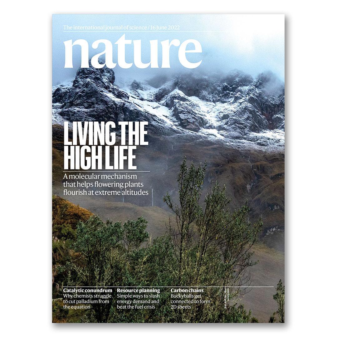 This week in Nature: Living the high life – A molecular mechanism that helps flowering plants flourish at extreme altitudes. Browse the full issue: go.nature.com/3xTpVR5