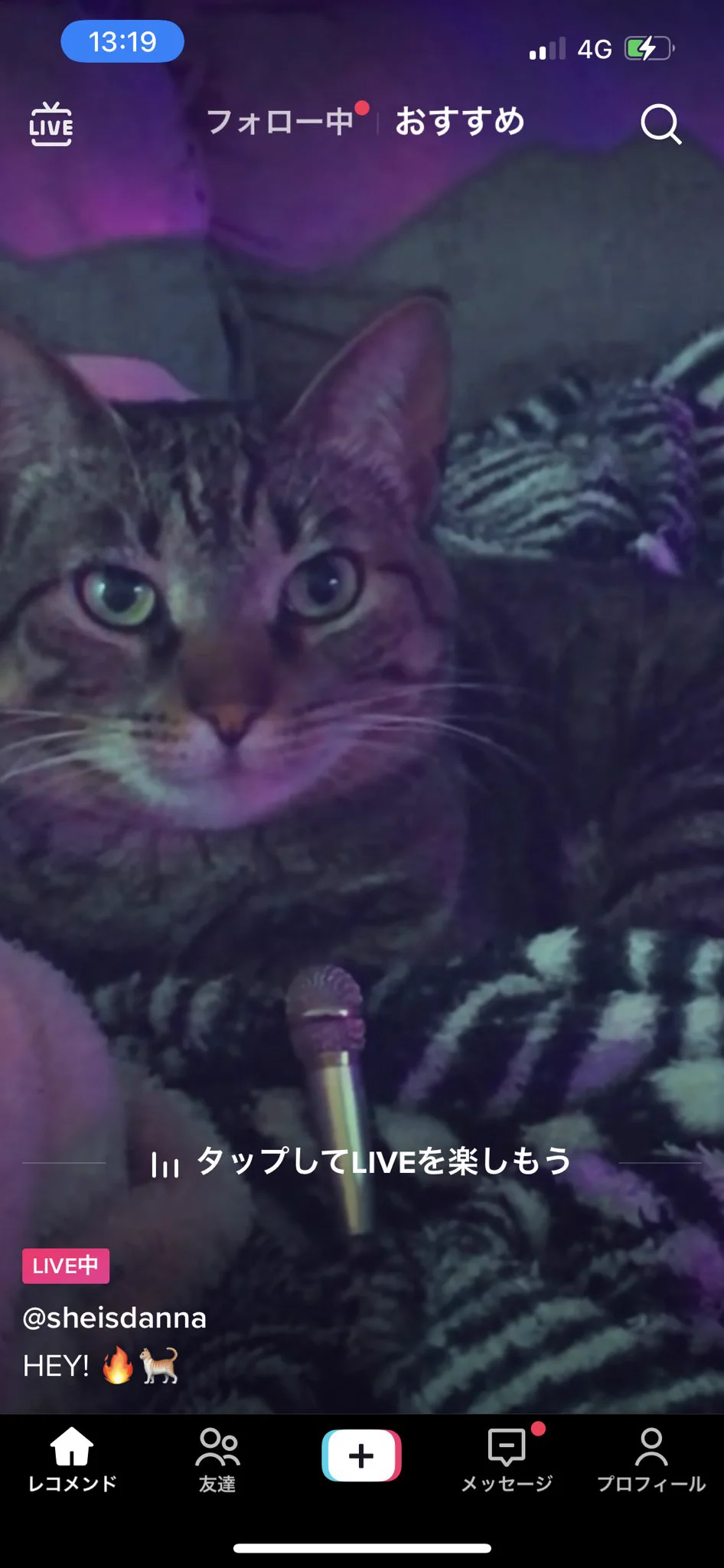 @sano_sano_sano_ ねこもしてました！ 