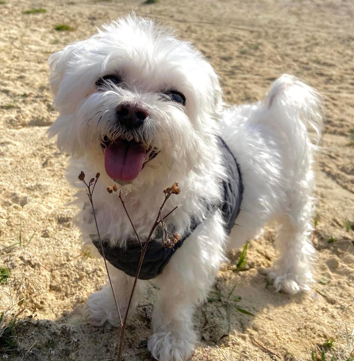 Professor Lara Bloom tweet media