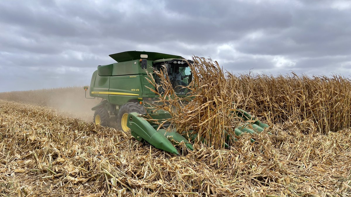 nalolugo's tweet photo. Una realidad: 20 TON/HA DE MAÍZ🌽
-Lote: 35 has
-Se puso una prueba de un nuevo híbrido
-Rendimiento: 16.3 ton/ha
LA SORPRESA: La franja del nuevo híbrido sobrepasó 20 ton/ha (nótese la franja verde en el mapa)
He ahí la importancia de elegir a conciencia el híbrido correcto👍🏻 https://t.co/8Z7RYdmpBt