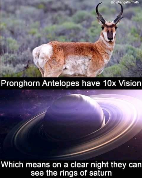 Unbelievable Science (@unbelievablesc) on Twitter photo 