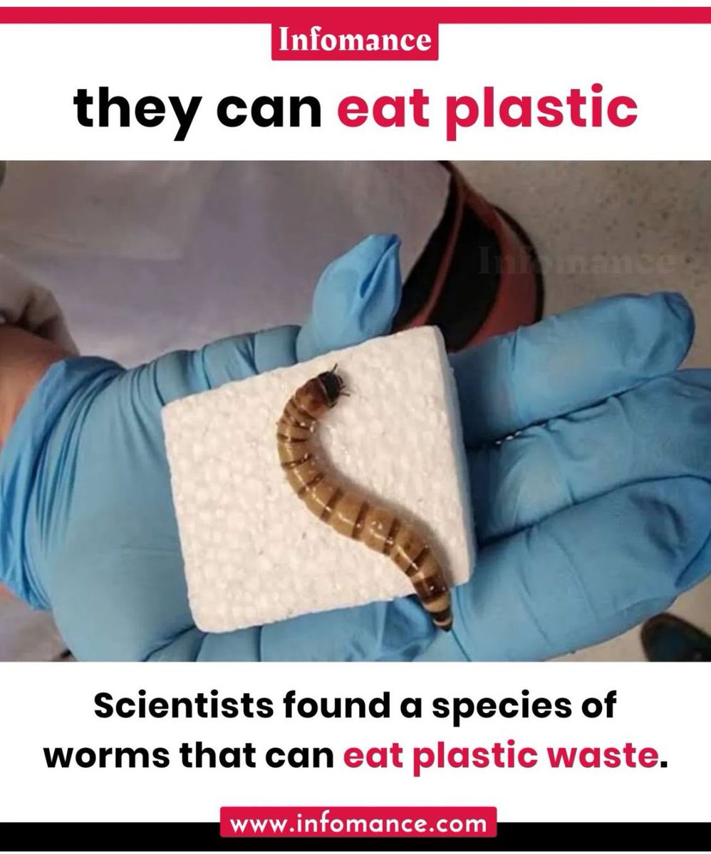 trulykirang's tweet photo. #Plastic #pollution #ClimateAction #plasticfree #naturerestoration #NatureIsCalling #earthsave #BeatPlasticPollution #earth #Planet #Restore https://t.co/TqHyXB1g1B