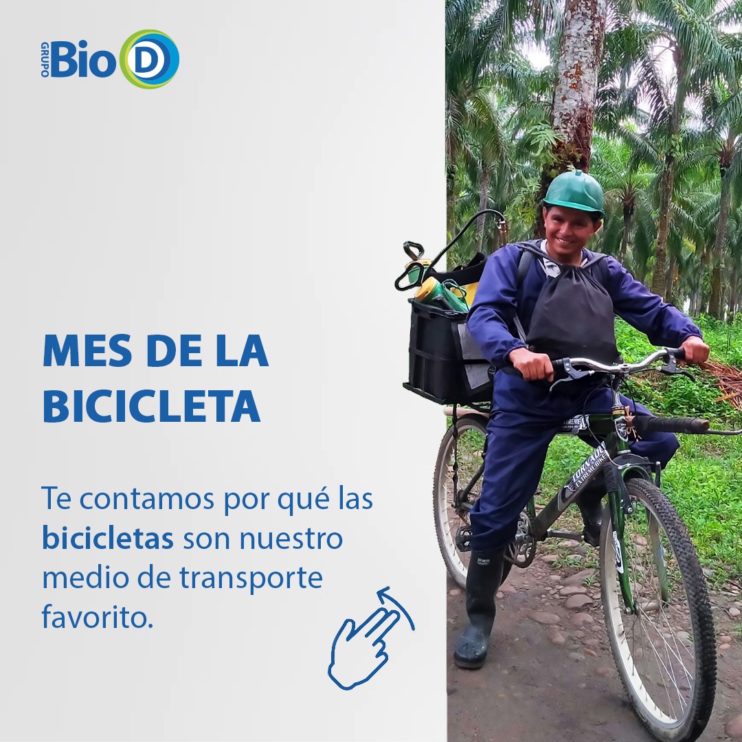 BioD_SAS's tweet photo. Este mes celebramos a todos aquellos que decidieron cuidar su salud y el medio ambiente usando su bicicleta. Y para festejar te traemos algunas razones de por qué en el grupo Bio D somos #Bicilovers.

Cuéntanos tu razón para ser un #Bicilover https://t.co/mZqTD2f39A