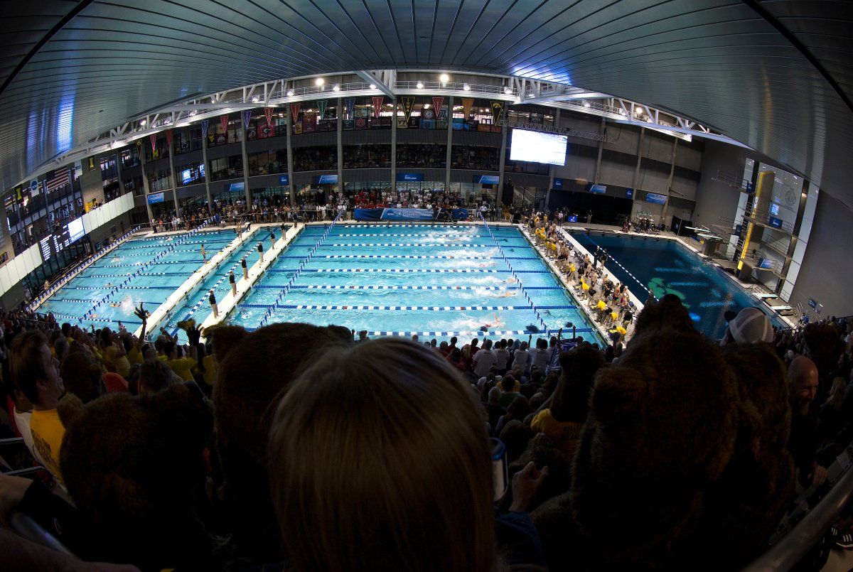 IowaSwimDive's tweet photo. Meet the 1⃣5⃣ newest #Hawkeyes  So excited to add this group for the 2022-23 season!  

LINK: https://t.co/W4eP8XNNgZ https://t.co/8C13wRrMVp