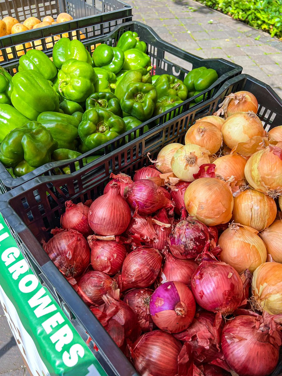 Tomorrow is our NDD Downtown Market and we want you to get the best for your buck! Make sure to stop by our kiosk to find out how you can double your bucks with your EBT card!  The Urban Agriculture Cooperative will also be taking senior and wick checks!

#NDDDM #2022NDDMarket