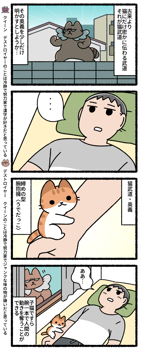 悪の秘密結社ネコ 猫武道の奥義編
#悪の秘密結社ネコ 