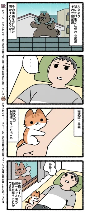 悪の秘密結社ネコ 猫武道の奥義編#悪の秘密結社ネコ 