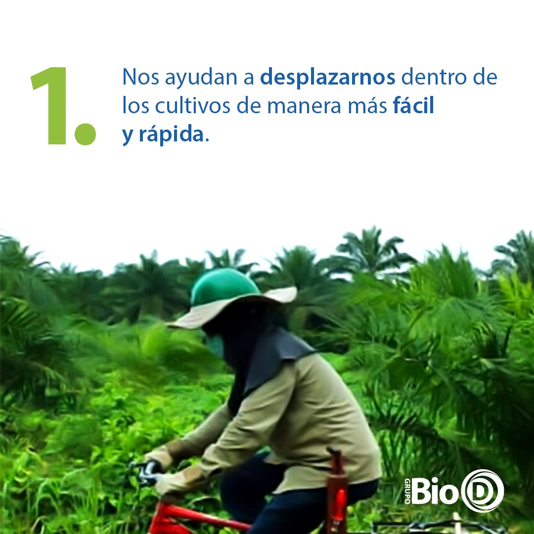 BioD_SAS's tweet photo. Este mes celebramos a todos aquellos que decidieron cuidar su salud y el medio ambiente usando su bicicleta. Y para festejar te traemos algunas razones de por qué en el grupo Bio D somos #Bicilovers.

Cuéntanos tu razón para ser un #Bicilover https://t.co/mZqTD2f39A