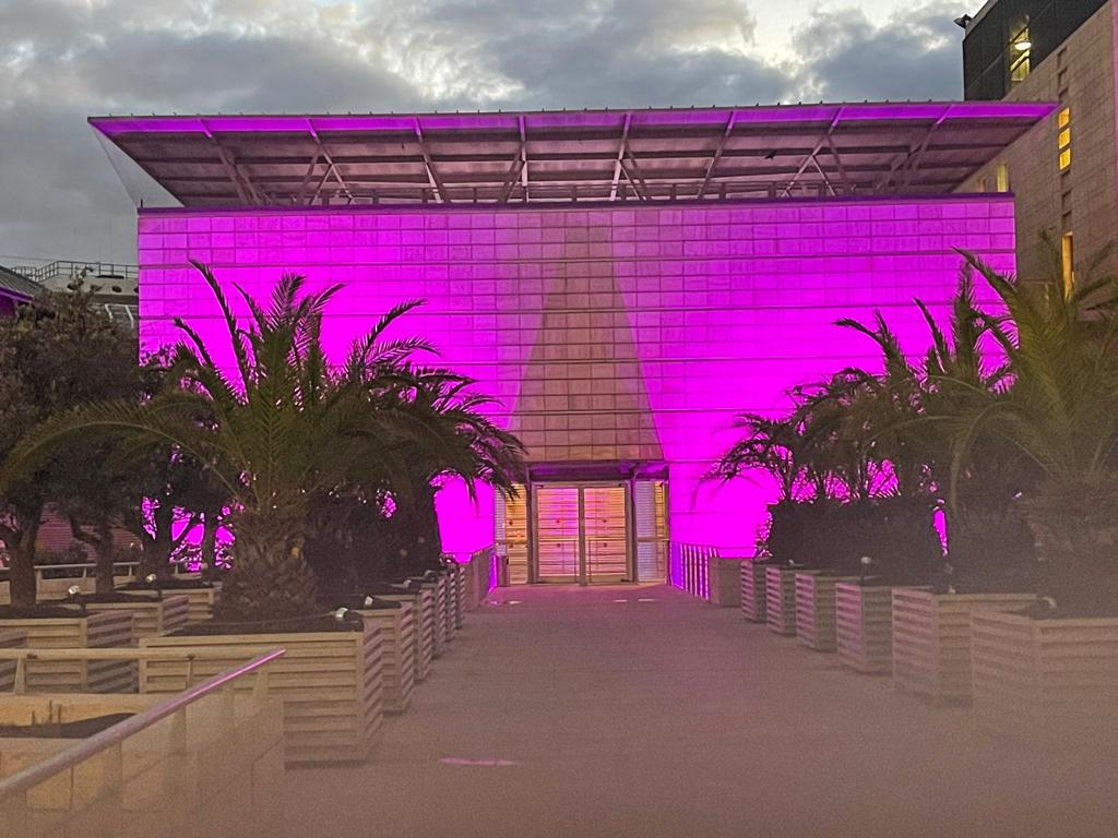 Israel Foreign Ministry tweet media