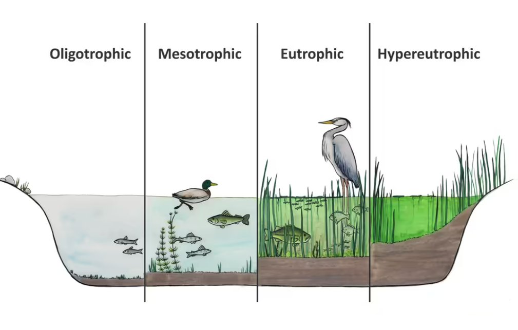 DataStream tweet media
