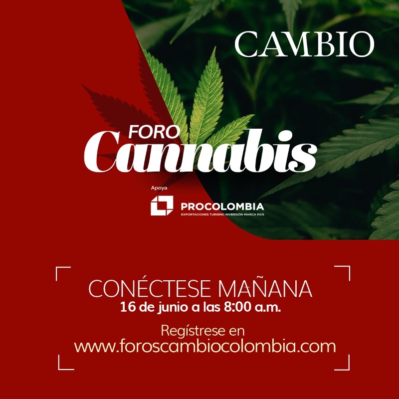 estoescambio's tweet photo. ¿Cuáles son las potencialidades y limitaciones de la medicina cannábica, el impacto de las políticas públicas en la sociedad y los retos políticos para la apertura del uso del cannabis con distintos fines? El 16 de junio expertos analizan el panorama.