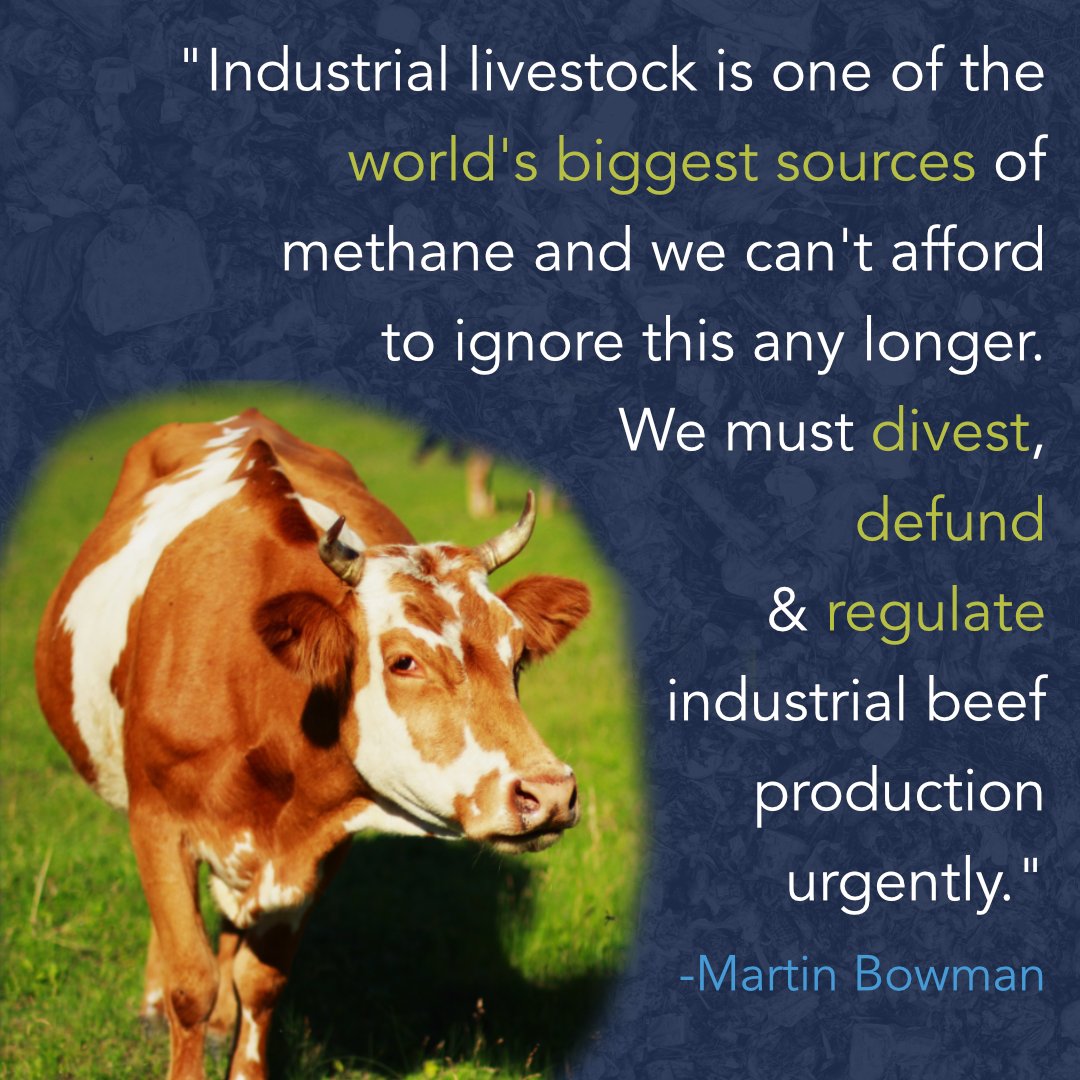 powerforplanet's tweet photo. The answer is YES!
Methane has a huge impact on climate change, bigger than most people realize.
Check out @feedbackorg, @changingmarkets and @standmighty's report on livestocks methane emissions
https://t.co/USgtNyo5TE
#PowerFromPlastic #PfP #methane #climatechangeprotest https://t.co/IkbXssAQGG