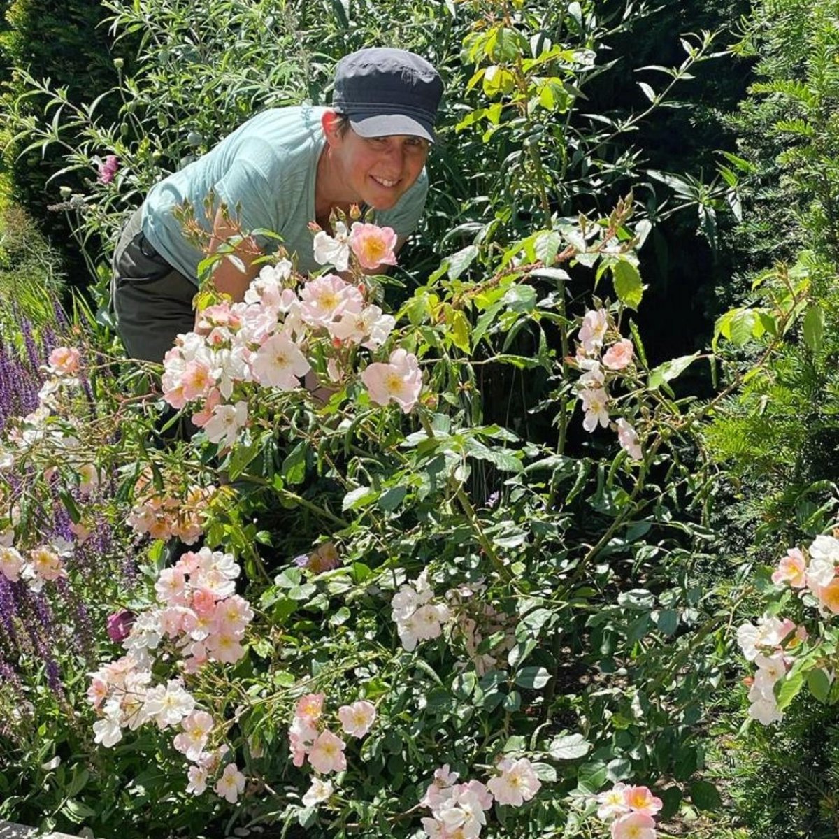 Ter voorbereiding op de Internationale #Kwekerijdagen zijn we in de tuinen en park omgeving de puntjes op de i aan het zetten.🌱 Bekijk het programma van dit weekend op onze website: bit.ly/3Ofa6cH

#kwekerijdagen #kwekenvoordetoekomst