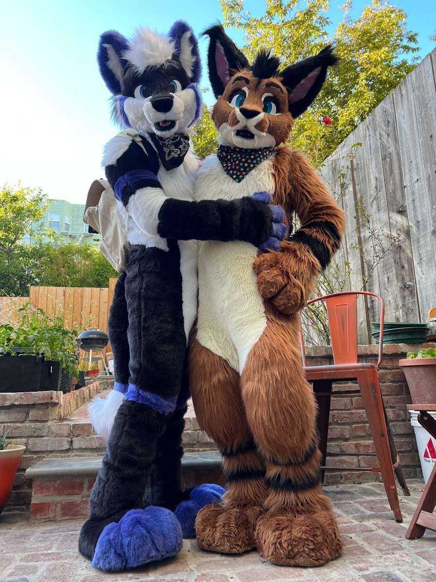 Cooper~ Coooooooooooooooooper~

I love this kitty 🦊💜🐱

📸: <a href="/BullBento/">bentobull.bsky.social</a>