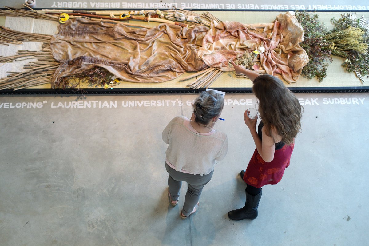 « Contre vents et marées » à la Galerie du Nouvel-Ontario! Jusqu'au 22 juillet 2022. 

ici.radio-canada.ca/ohdio/premiere…