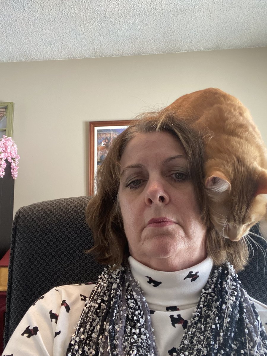 teacherJLK's tweet photo. Revisiting this experience: When you just want some peace and quiet for a @StukentApp Mimic Social - Social Media Marketing Simulation, and your co-worker wants to talk. #PetsofProfCon #ProfCon22 #PumpkinPieSpiceKyle https://t.co/mhL9JVbEtB