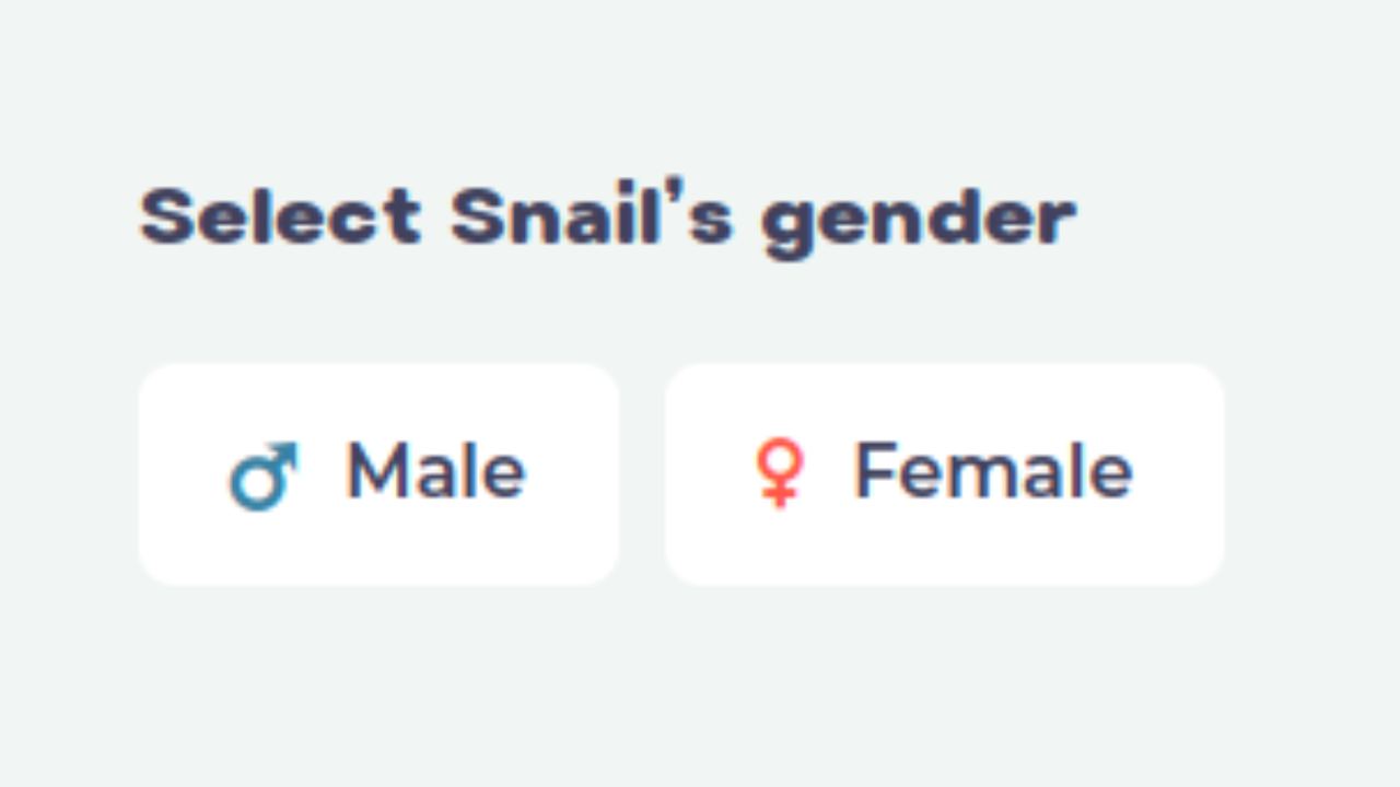 Snail Trail 🔺🐌 on Twitter "Now let's get into some key things to know