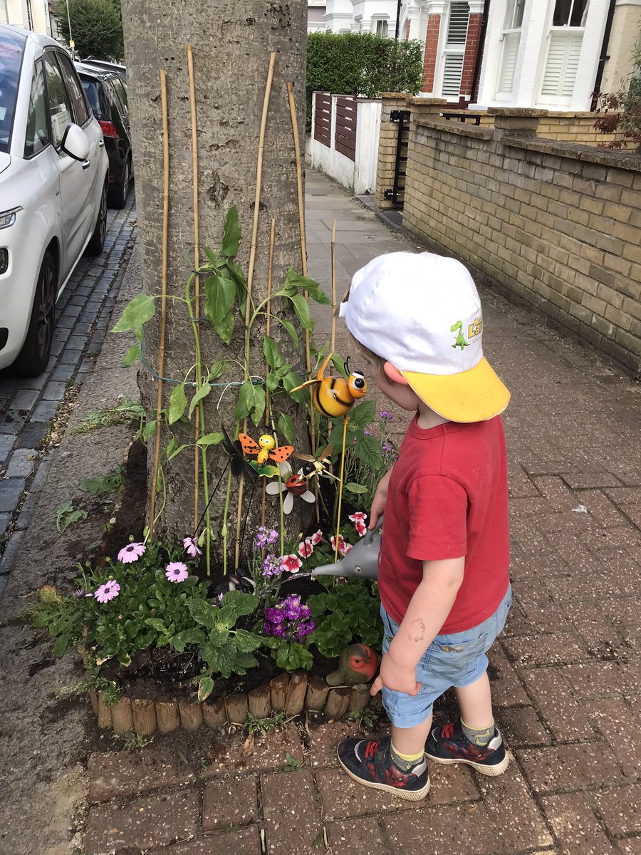 Webster6A's tweet photo. George has just planted his sunflowers @GreenTheGrid @lucymonners . https://t.co/eIfbeuaoUm