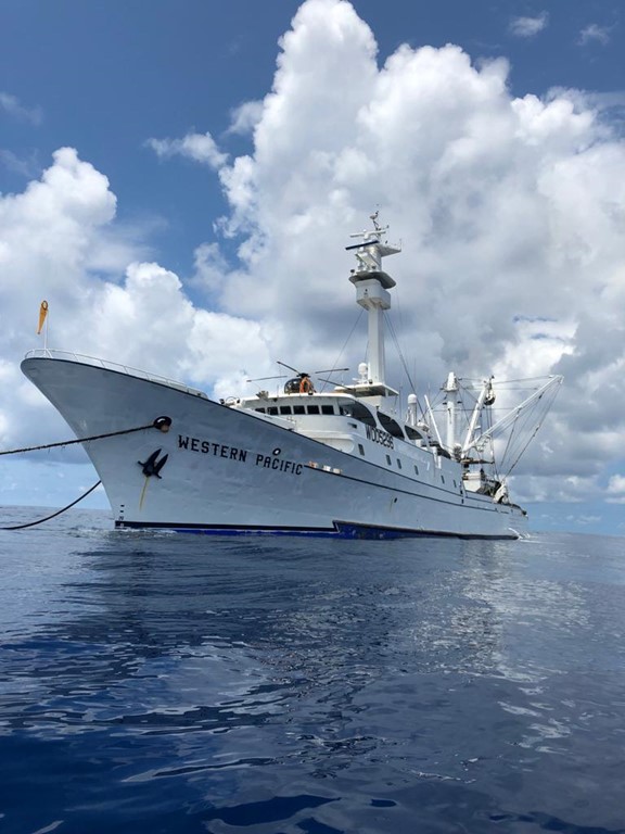 SCScertified's tweet image. Last week, the US Pacific Tuna Group and @KeyTraceability announced the @MSCecolabel certification of the US Pacific Tuna Group Purse Seine FSC and FAD Set #Fishery, certified by SCS. Pictured are a few vessels from the fleet.

Read more: bit.ly/3zCygdl