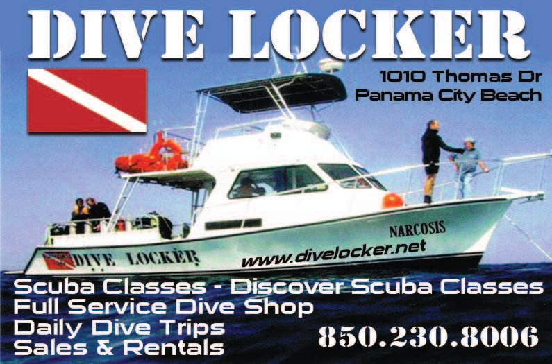 Chapman Media FL on Twitter "Take lessons & plan diving excursions
