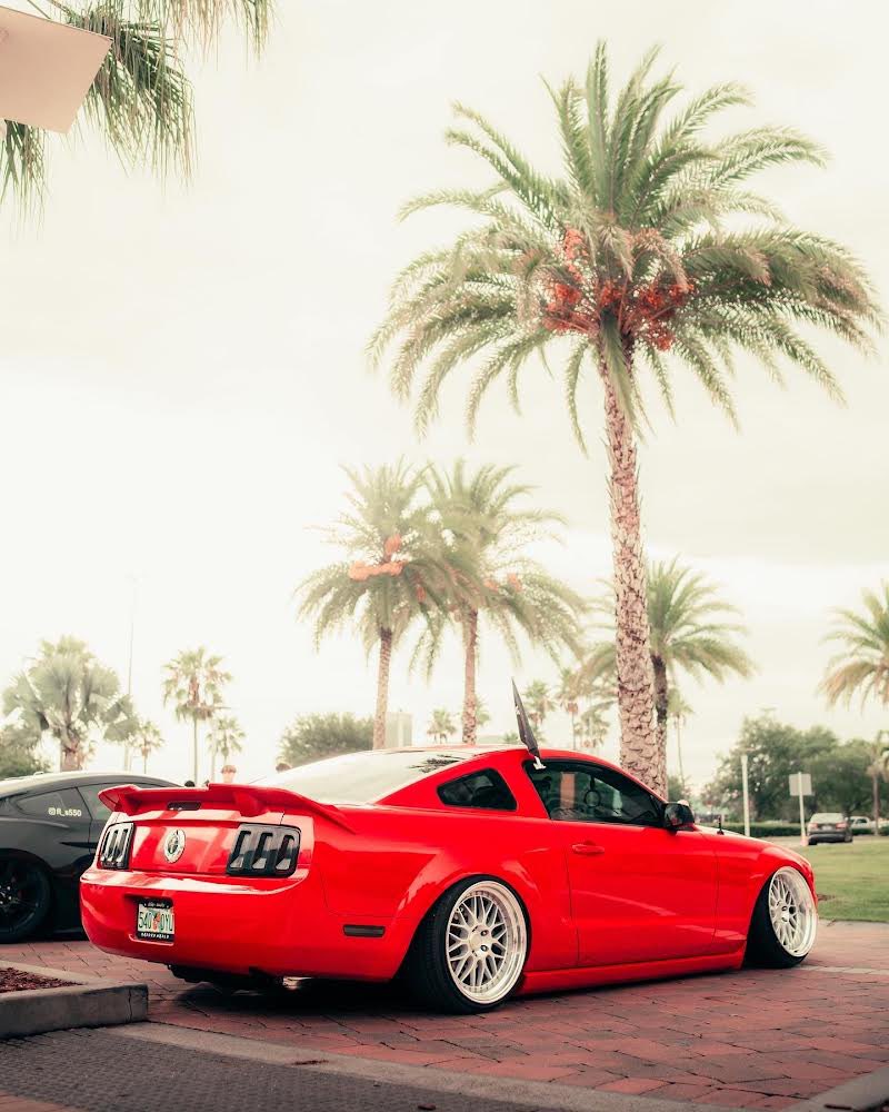 StaticStruggle0's tweet photo. I Love When I Find Different Static Builds! @that.red.v6 knows how to slam a muscle car! 

Media: @gerryshotyou 

#staticstruggle #ridelowstaylow #fordom #staticdayz https://t.co/HiXc7yNNkQ