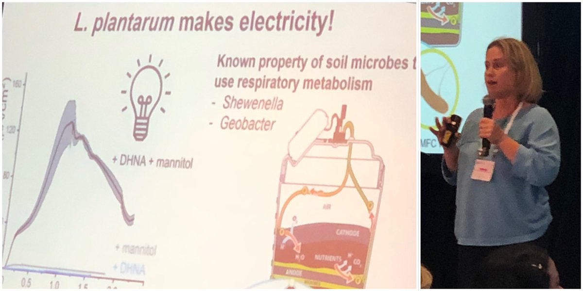 ISAPP-SFA (@isappsfa) on Twitter photo Amazing talk by <a href="/MariaLMarco/">Maria Marco</a> on how certain probiotics can generate electricity! š¦ ā”ļø #ISAPP2022 Amazing talk by <a href="/MariaLMarco/">Maria Marco</a> on how certain probiotics can generate electricity! š¦ ā”ļø #ISAPP2022