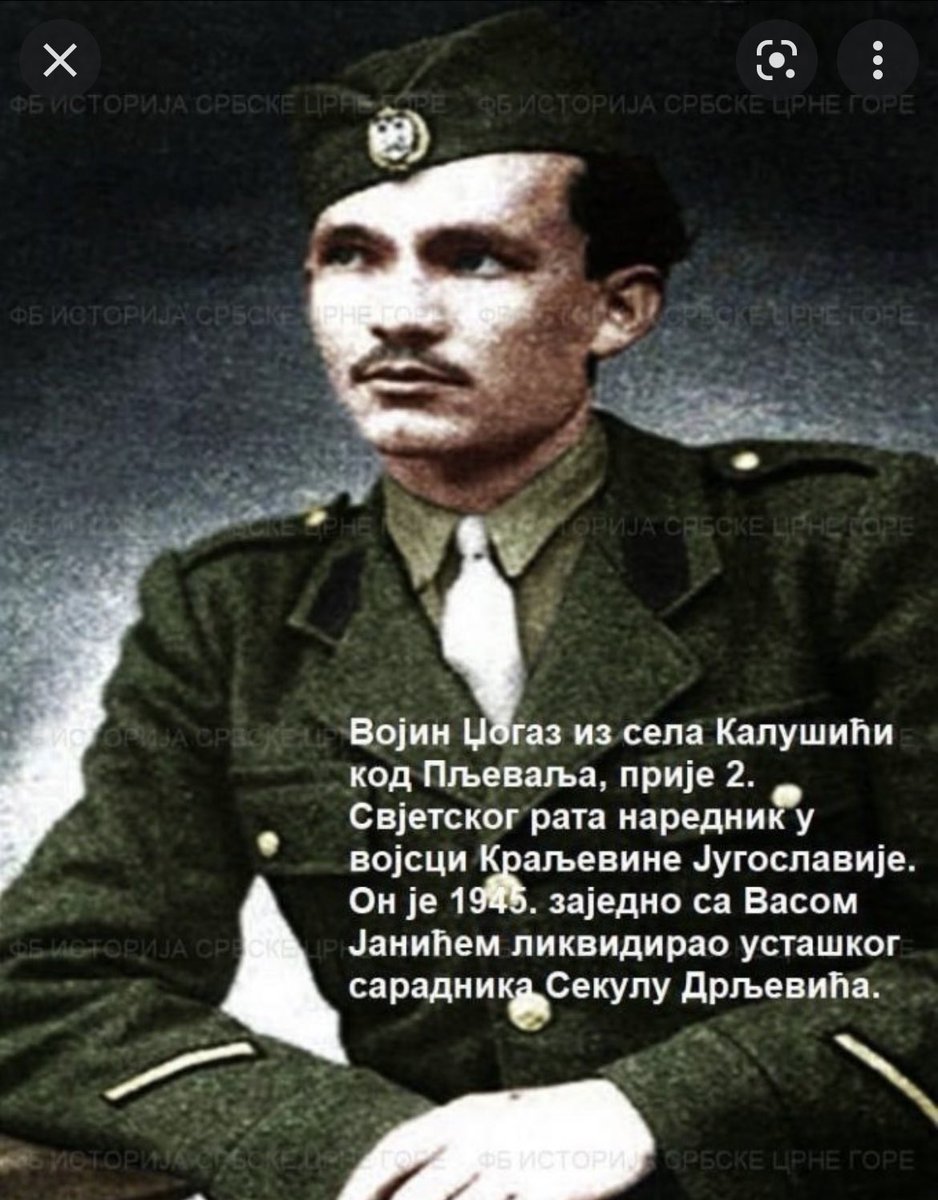 Џогаз tweet media