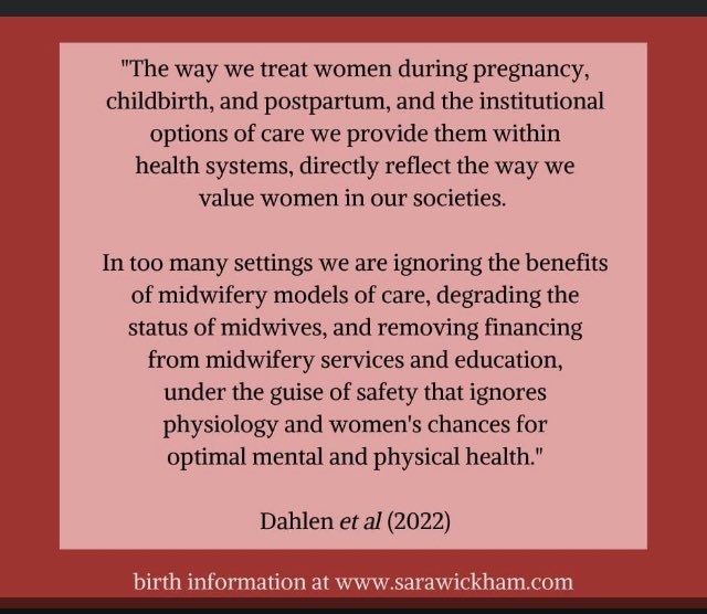 hannahdahlen's tweet photo. Thanks @DrSaraWickham for making this meme of our paper now out in the Lancet https://t.co/XfluvvjZmI https://t.co/MxuOGwalh7
