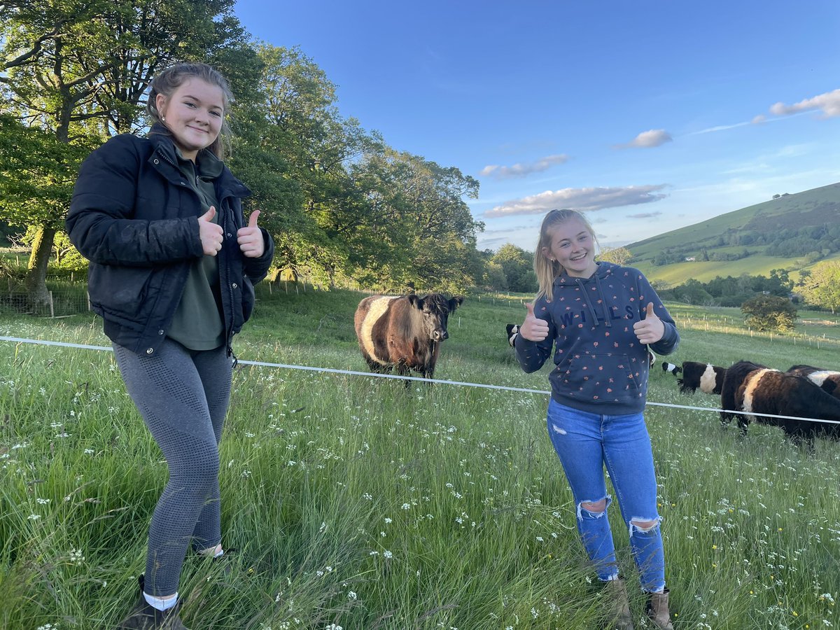 herdyshepherd1's tweet photo. This farm has never looked better or been more biodiverse… two pairs of curlews with chicks, barn owls, otters, pied flycatchers, stoats, weasels, peregrine falcons, roe and red deer, cuckoos, hobbies, kestrels, sparrow hawks, buzzards, herons, etc etc and 200+ plant species https://t.co/yw0BunasAu