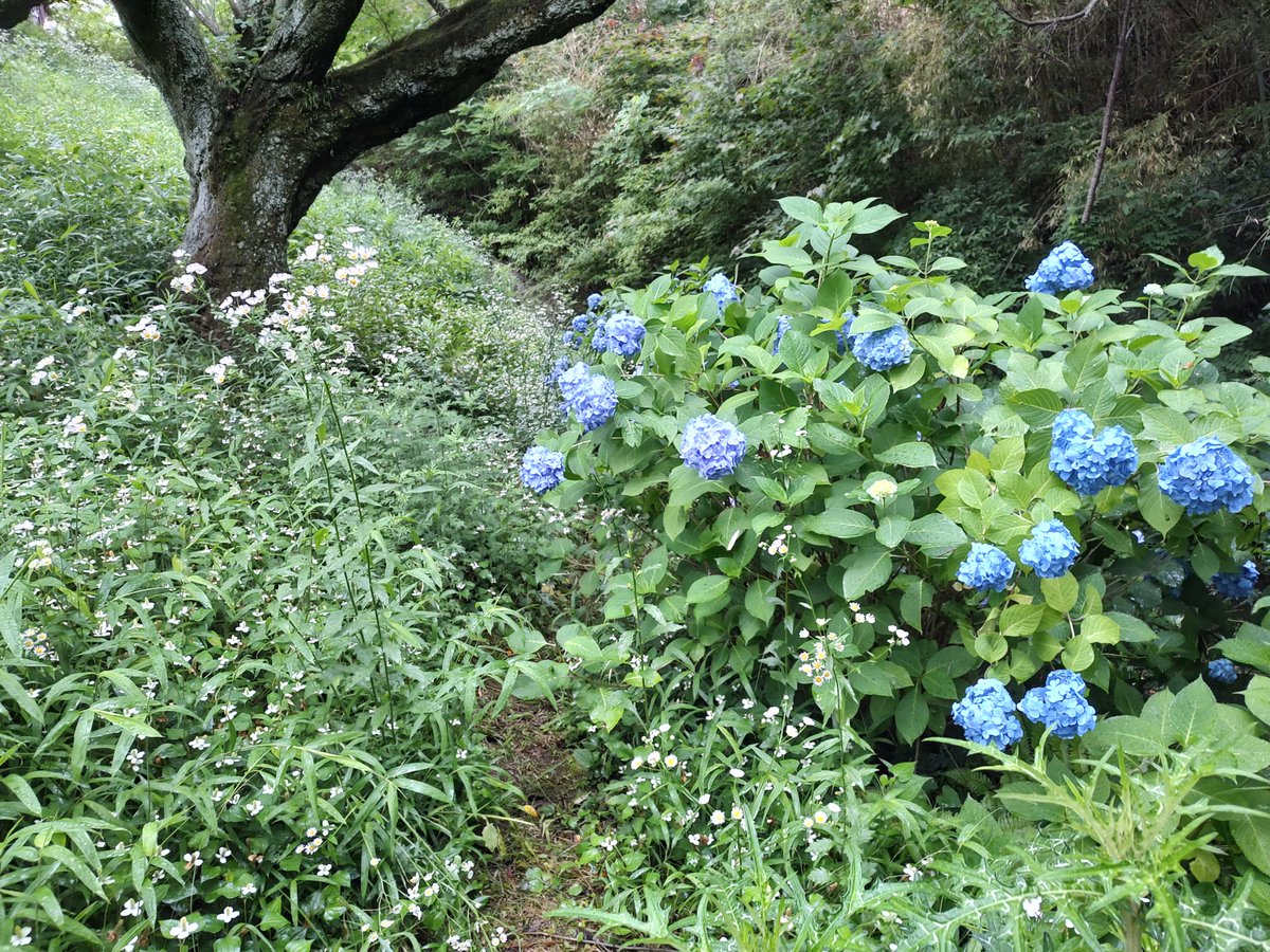 おはようございます😊
人からどう思われてもいい。
自分が思うほど他人は自分のことを気にしていない。
自分がいつも人に気を使って他人のことが気になるから、自分も他人からいつも気にされているように思うだけ。
誰にどう思われようと、自分らしく自分の人生を楽しもう。
#おは戦40617jk🍺