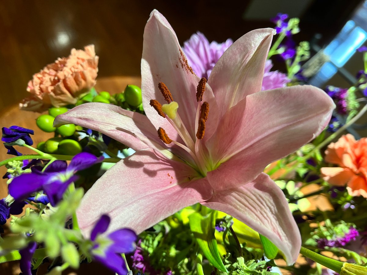 Karee Vogrin (@kareevogrin) on Twitter photo 