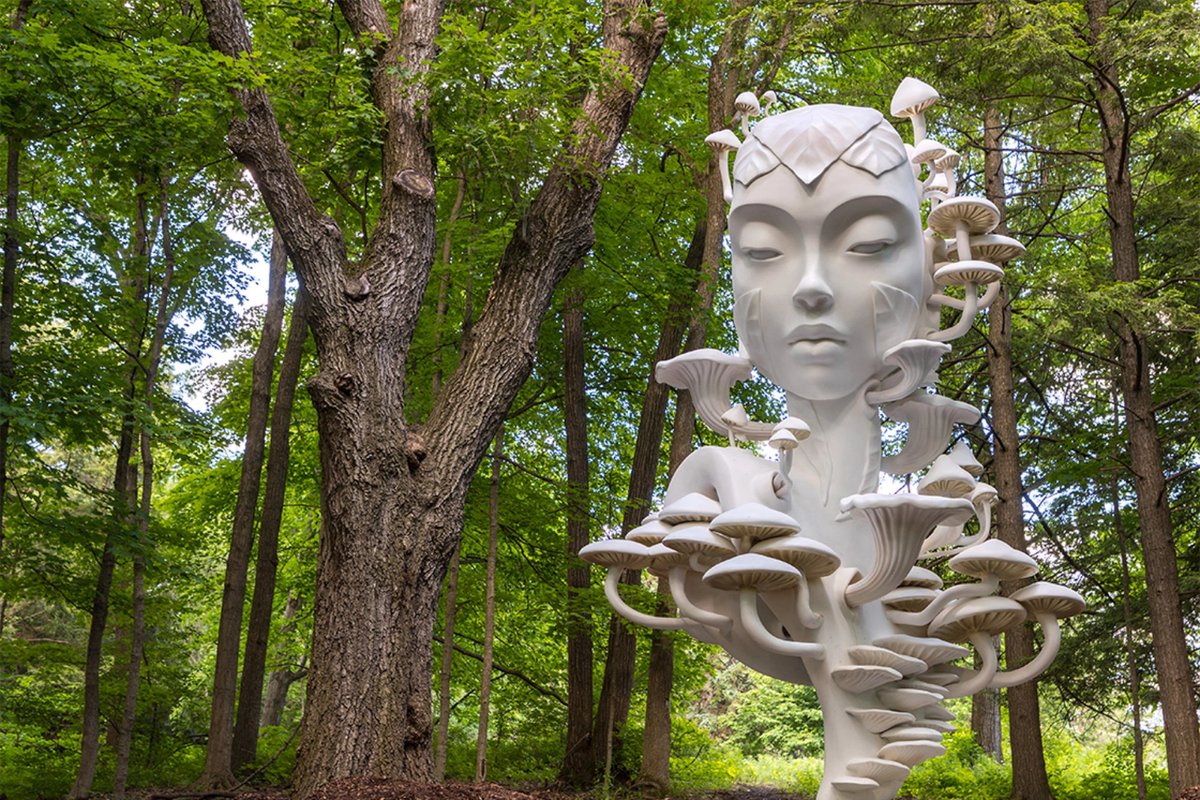 CastleKeeperCat's tweet image. New exhibition at The Morton Arboretum called Human+Nature by @danielpopper. When it&apos;s less than a bazillion degrees outside I&apos;m so there. 
#HumanNatureArb  #spendtimeinnature

mortonarb.org/explore/activi…