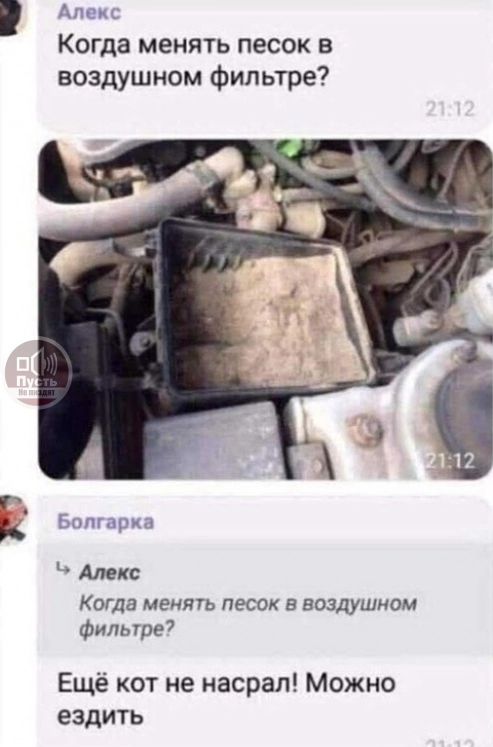 #prikol #PrikolVideo