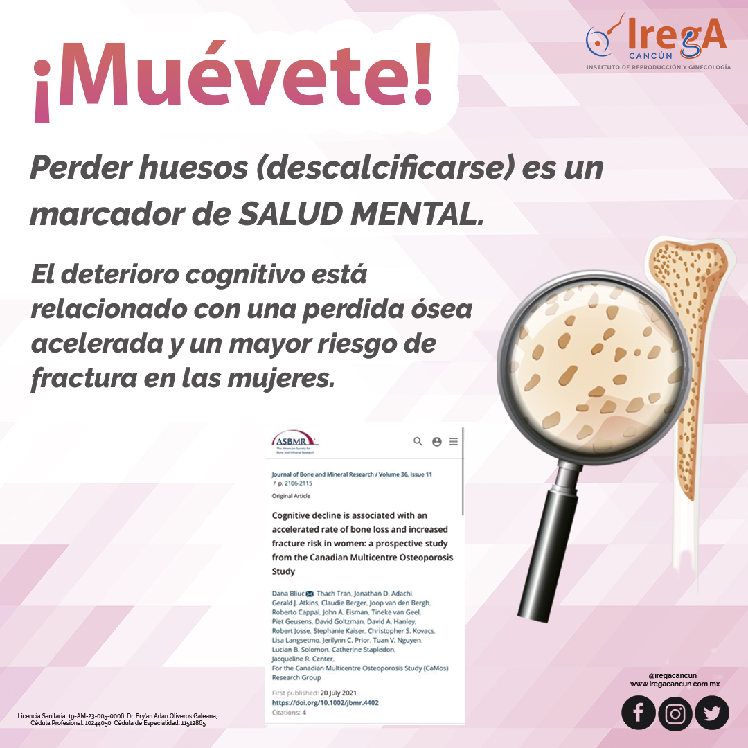 Instituto_IREGA's tweet photo. Tomen el dato de esta Infografía 🤓 👇
#irega #iregacancun #fivirega https://t.co/wemyTez2u6