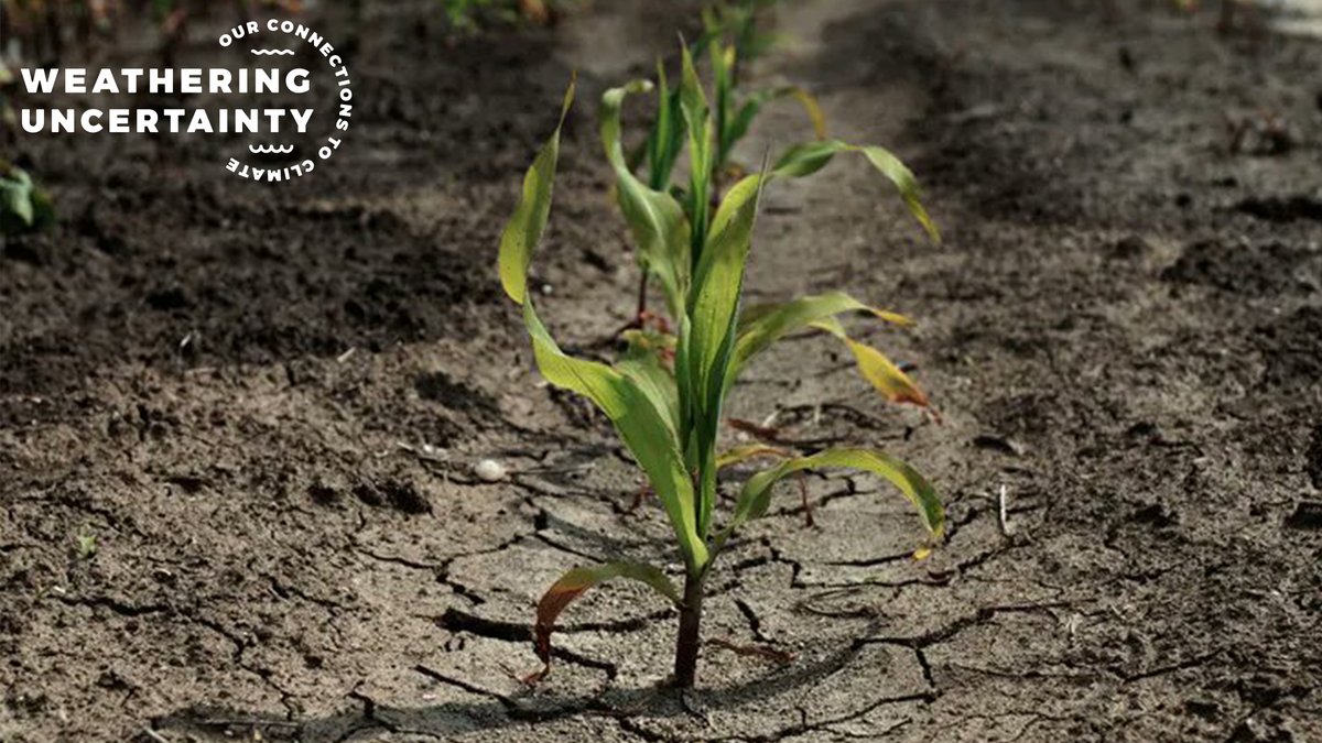 "Weathering Uncertainty: Our Connection to Climate" starts at 7 p.m. Central! Join us in person at <a href="/LiedCenter/">Lied Center</a> in Lincoln or online. Polls, Q&amp;A, discussions with representatives from ag, public health, municipalities...Don't miss it! LIVESTREAM LINK: liedcenter.org/live