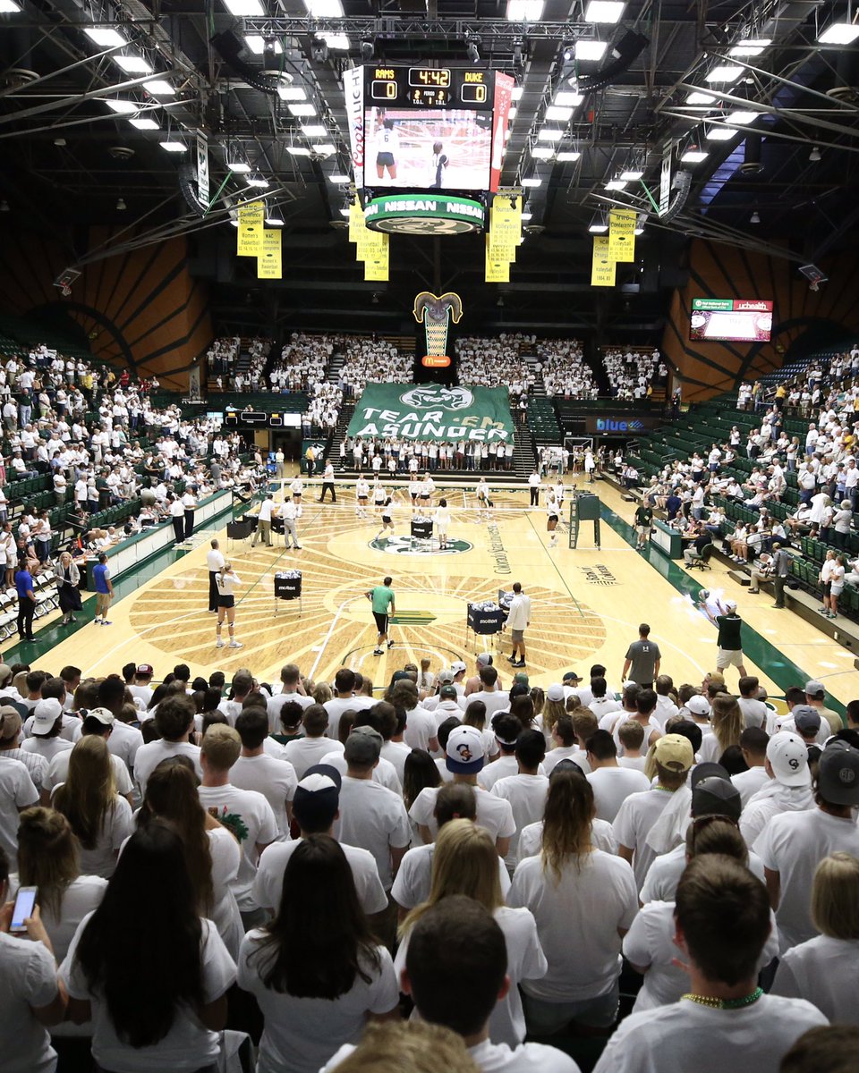 Colorado State Volleyball tweet media