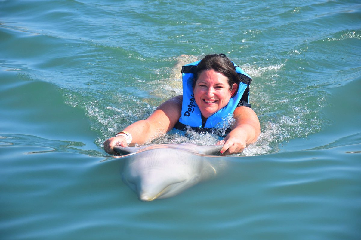 Nadando con delfines #cabo