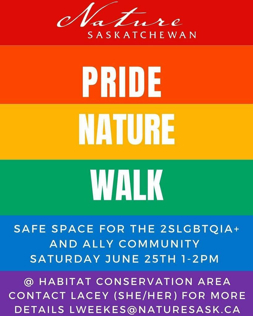 Reposted for Nature Sask &amp; UR Pride:

Join us in celebrating Pride with our 1st annual Nature Saskatchewan Pride Nature Walk as we explore the Habitat Conservation Area. We will look for birds, plants, bugs, and reptiles. This is a beginner walk and all … instagr.am/p/Ce12581OWLE/