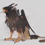 Photo by Finchwing's art (@Finchwingart)