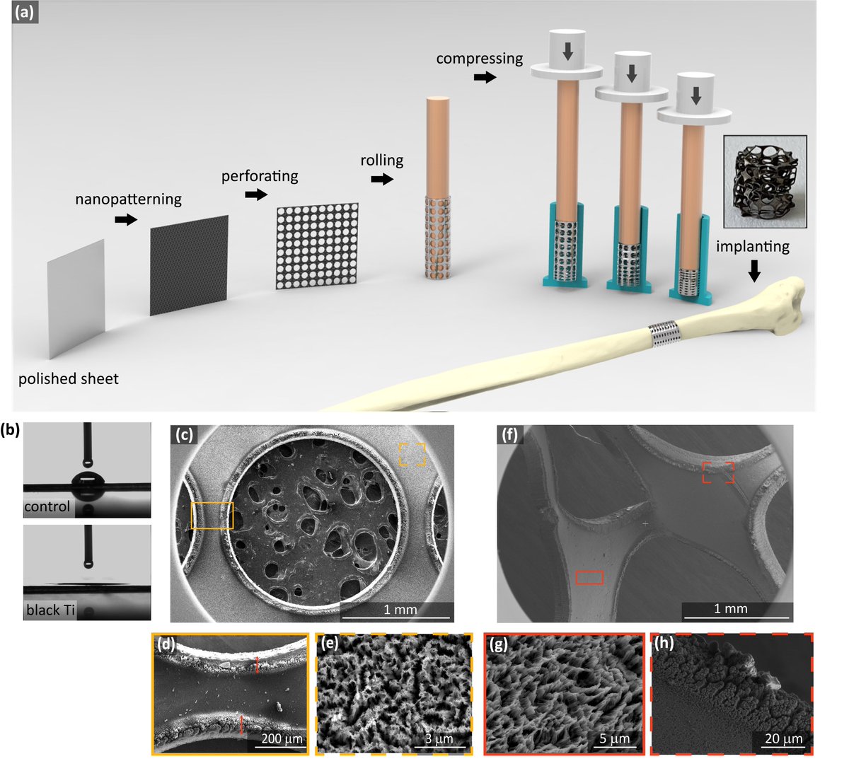 MahyaGanjian's tweet photo. 2) Since the #crumpling process starts from a flat state, it is possible to incorporate #nanopatterns with arbitrarily complex shapes onto the specimens.
#scaffolds #bone 
@amir_zadpoor @shahram_janbaz @TeunisvanManen @TumerNazli @KModaresifar https://t.co/1tBOfgYe3S