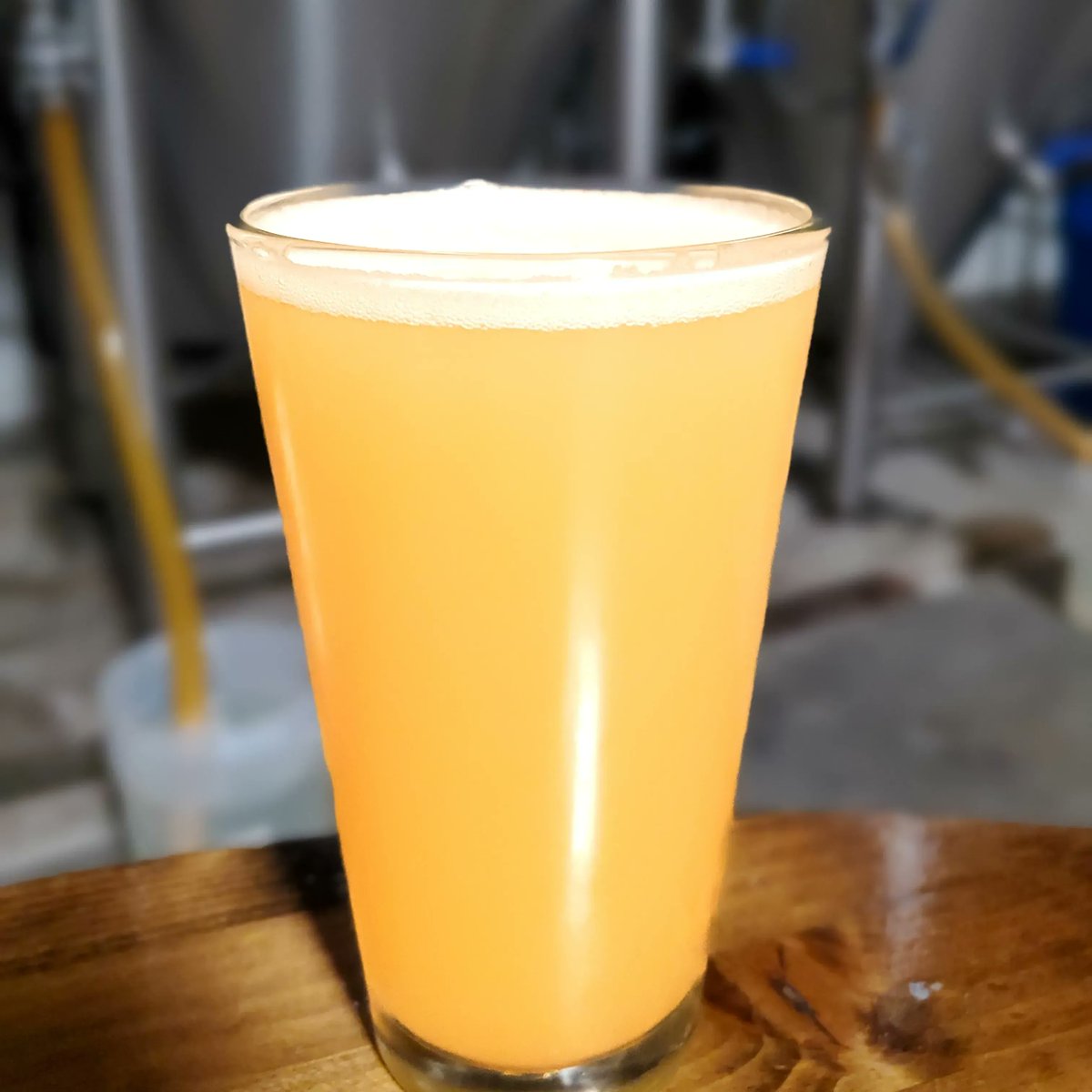 Another new beer releases today- Mosh Pit Peach Milkshake IPA.  This beauty has pounds of Madagascar Bourbon vanilla beans, 100% real peaches, milk sugar, and Citra hops.  And it weighs in at 6.3% ABV. #MilkshakeIPA #moshpit #moshpitipa #delmar #carmelvalley #delmarhighlands